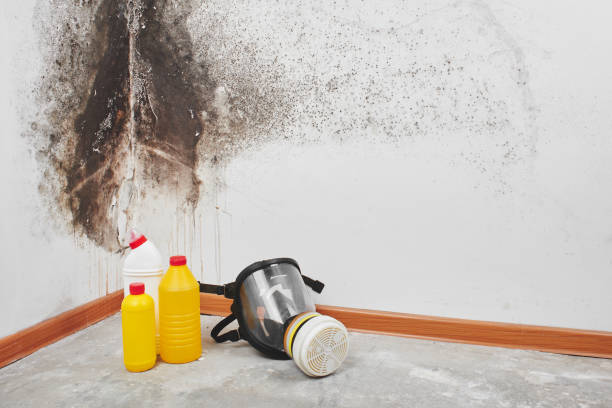 Best Industrial Mold Remediation in Columbiana, AL