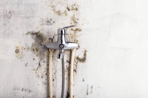 Best Localized Mold Remediation (e.g., coastal areas, humid climates) in Columbiana, AL