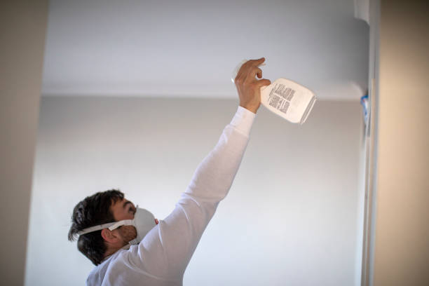 Best DIY Mold Remediation Support Services in Columbiana, AL