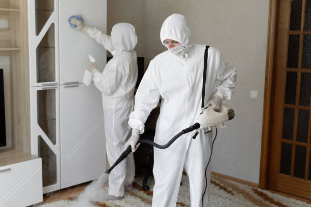 Best Residential Mold Remediation in Columbiana, AL