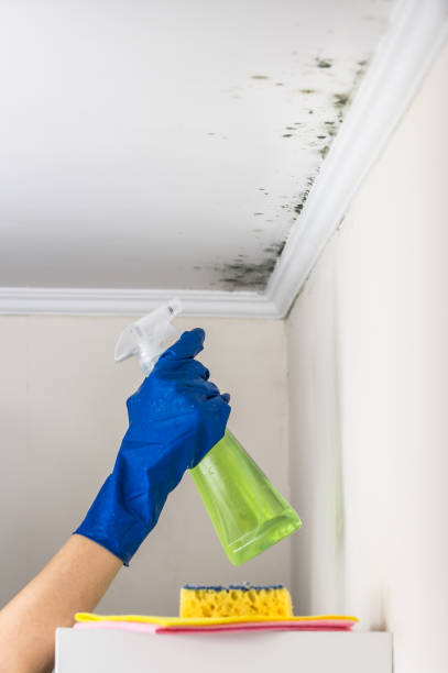 Best HVAC Mold Remediation in Columbiana, AL